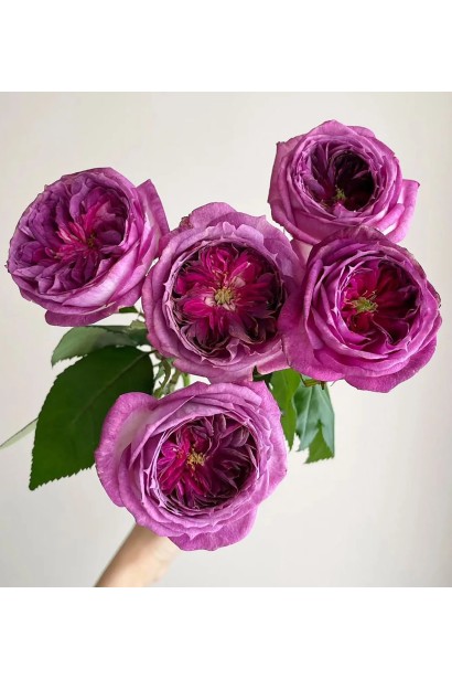 Букет з троянд Тьєррі Маркс